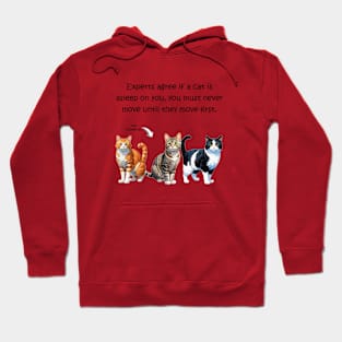 Experts agree if a cat is asleep on you, you must never move until they move first - funny watercolour cat design Hoodie